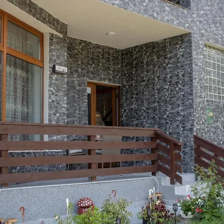 Pensiunea Ricky Guest house *